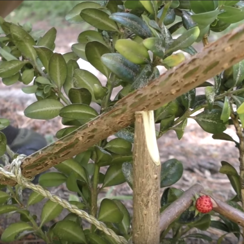 Captura de pantalla 2019-09-22 a las 21.27.42