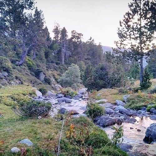 IMG-20170829-WA0023