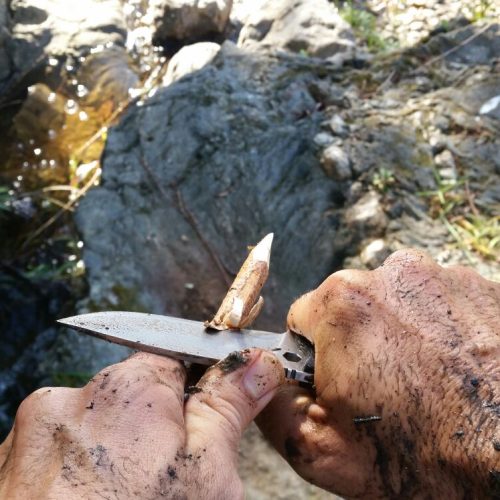 WhatsApp Image 2016-11-09 at 17.08.31