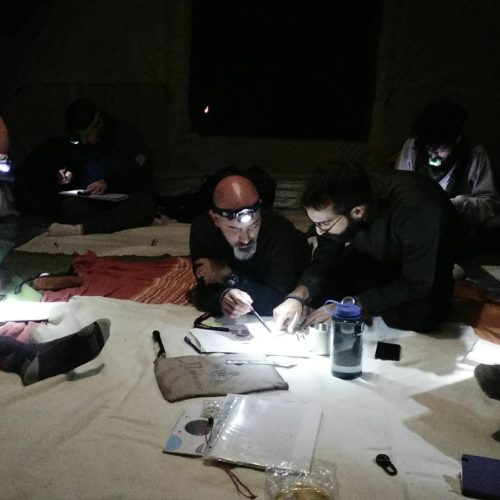 WhatsApp Image 2018-09-08 at 21.41.31