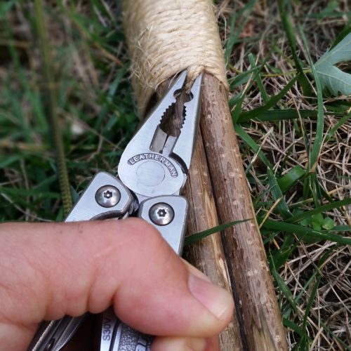 WhatsApp Image 2018-11-13 at 00.24.45