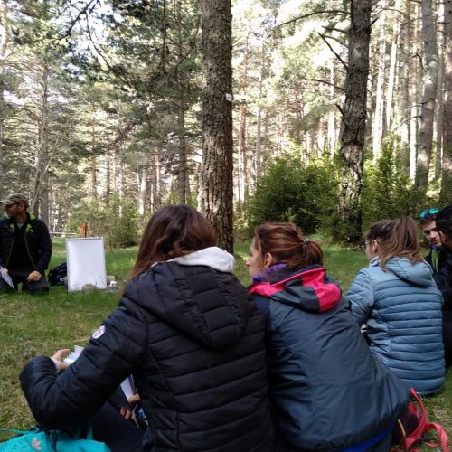 WhatsApp Image 2019-05-11 at 16.45.14