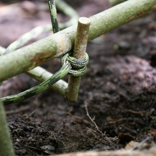 WhatsApp Image 2019-05-26 at 18.20.41 (1)